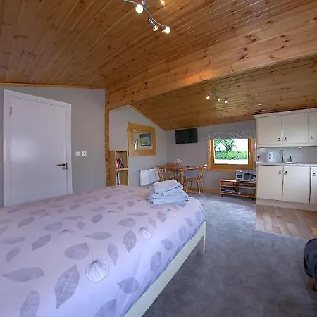 Appartement The @ Willowmere Clane