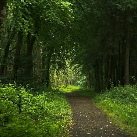 The @ Willowmere * Clane