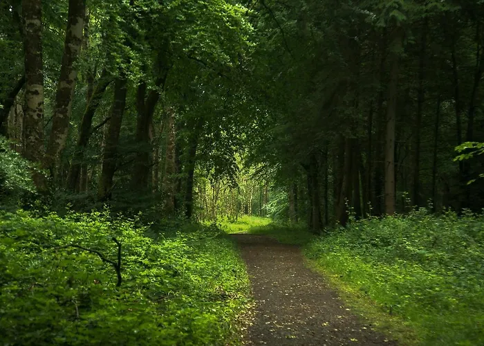 The @ Willowmere * Clane